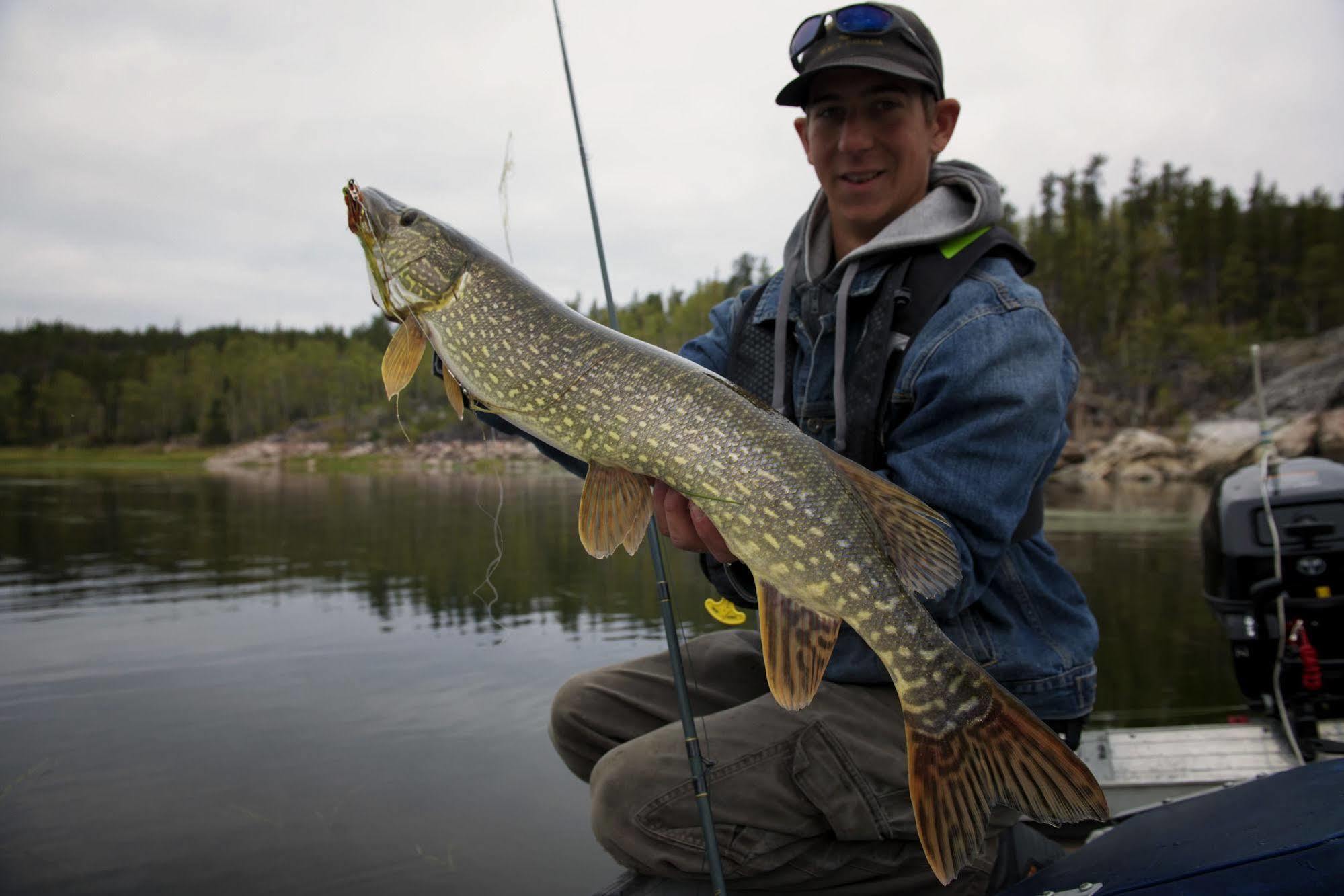 Yellow Dog Lodge, Inc. Yellowknife Eksteriør billede