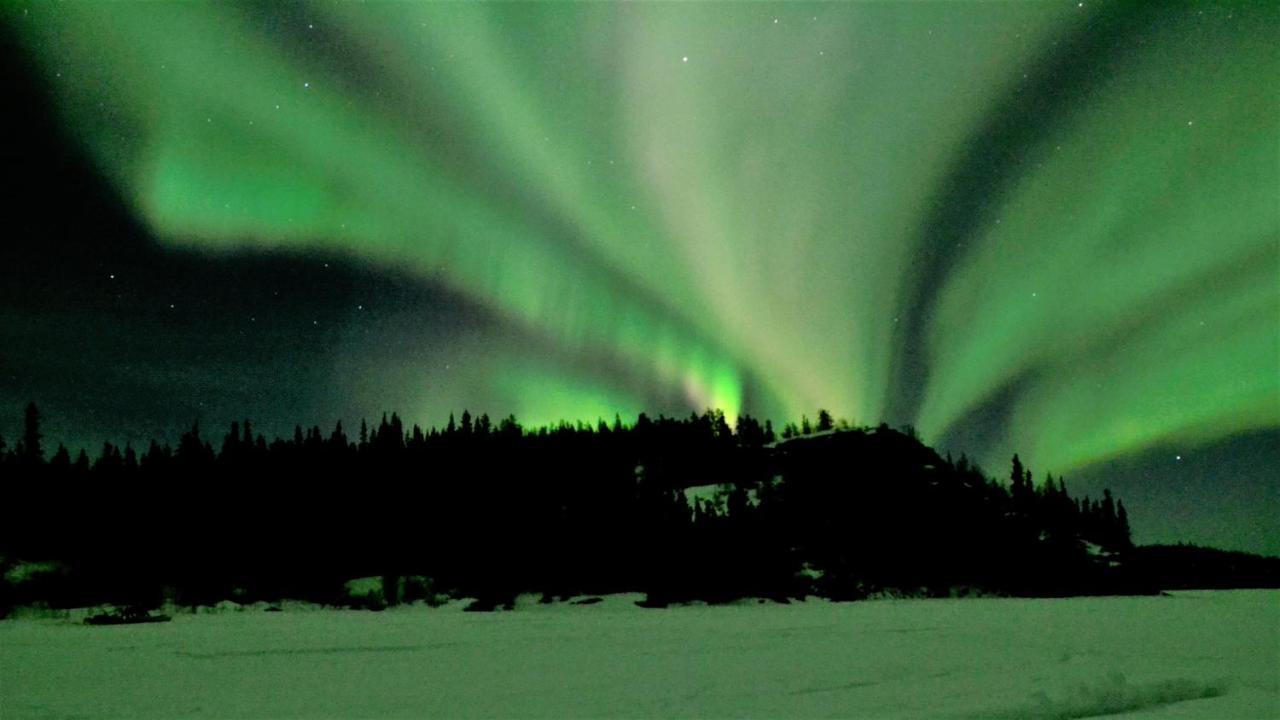 Yellow Dog Lodge, Inc. Yellowknife Eksteriør billede
