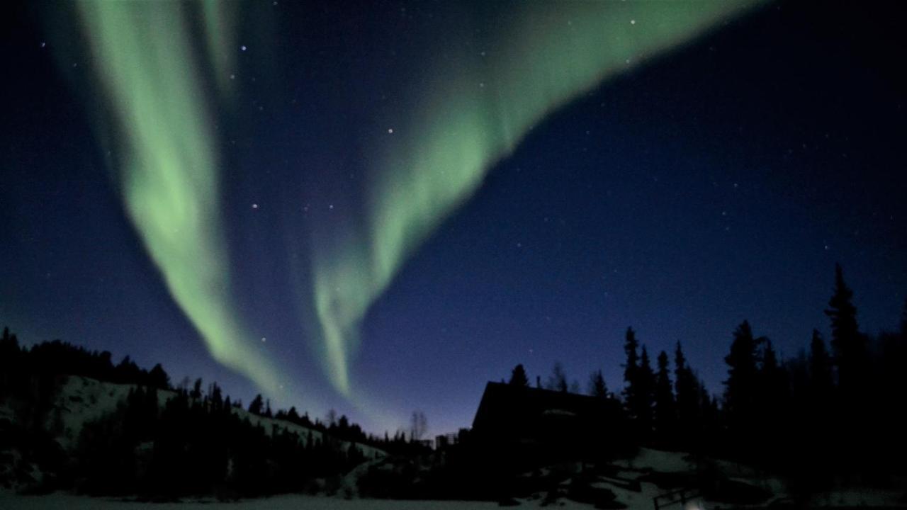 Yellow Dog Lodge, Inc. Yellowknife Eksteriør billede